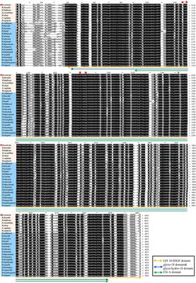 Imaginal Disc Growth Factor 6 (Idgf6) Is Involved in Larval and Adult Wing Development in Bactrocera correcta (Bezzi) (Diptera: Tephritidae)